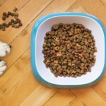 dry dog food, dog training, kibble-5198627.jpg